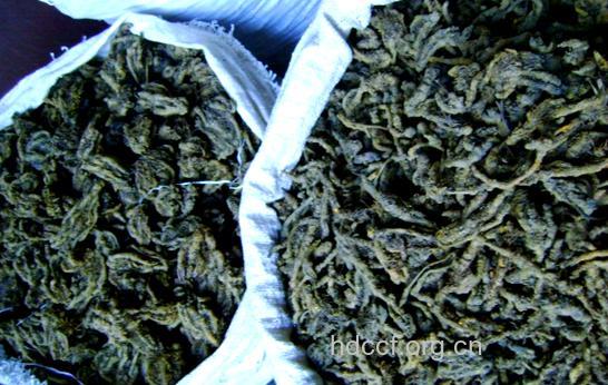 牡鼠粪的功效与作用