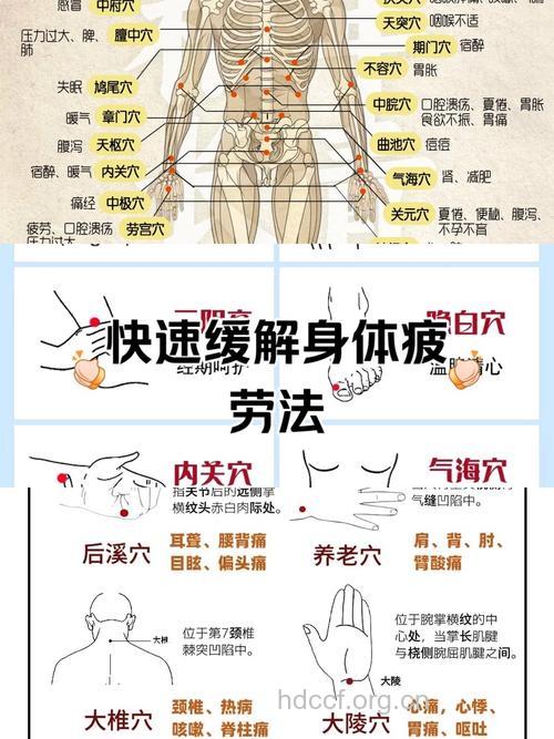 久坐办公一族 经常按摩四个养生穴位