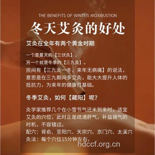 冬季艾灸不仅能养生还有祛病功效