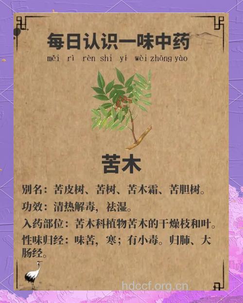 苦木根的功效与作用