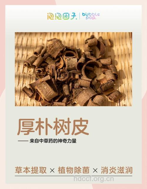 朴树根皮的功效与作用