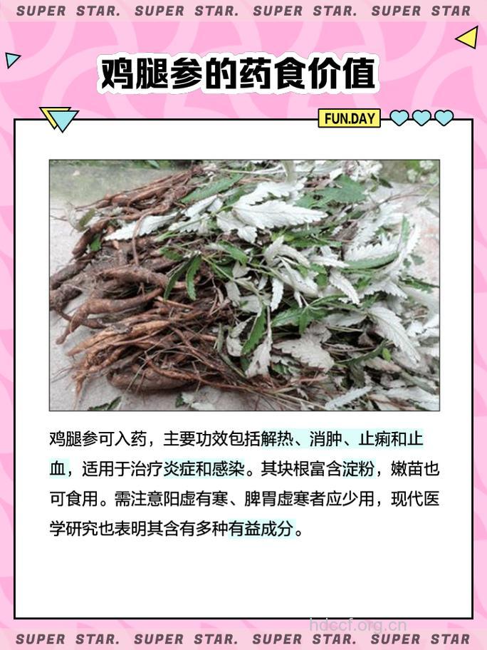鸡肉参的功效与作用
