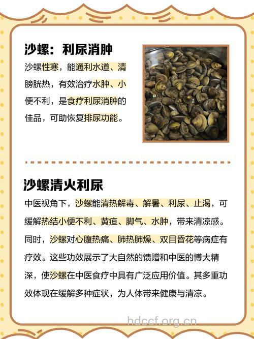 螺蛳的功效与作用