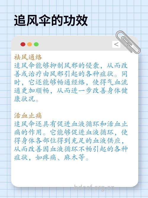 追风伞的功效与作用