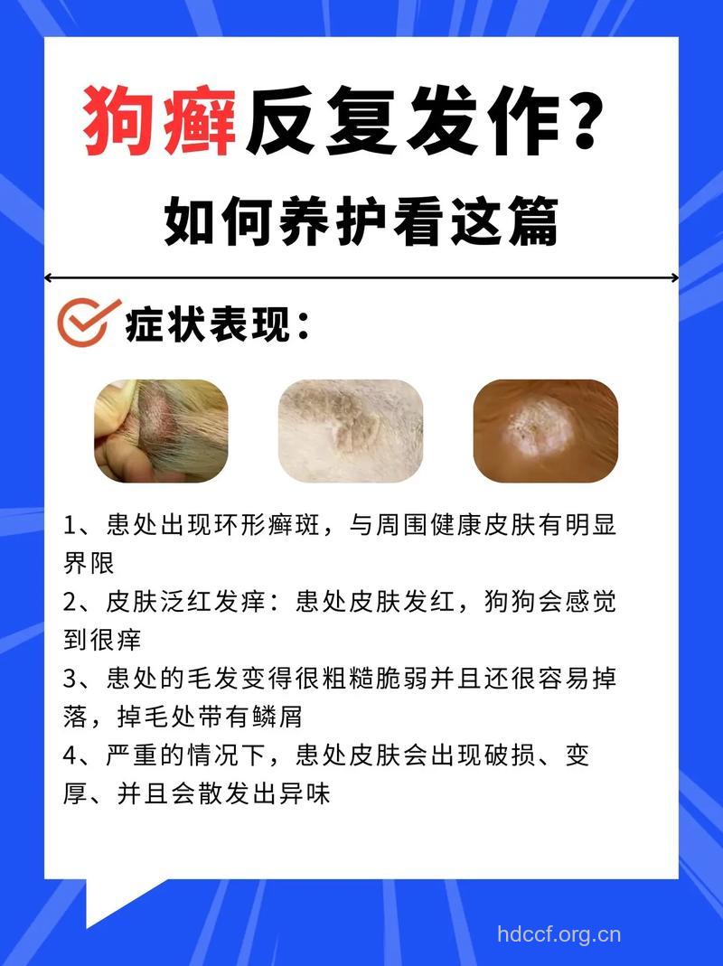 牛皮癣患者养宠物要注意的问题