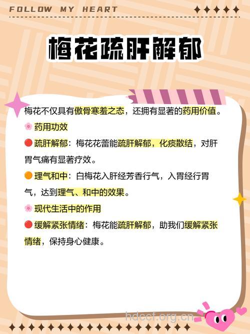 梅的功效与作用