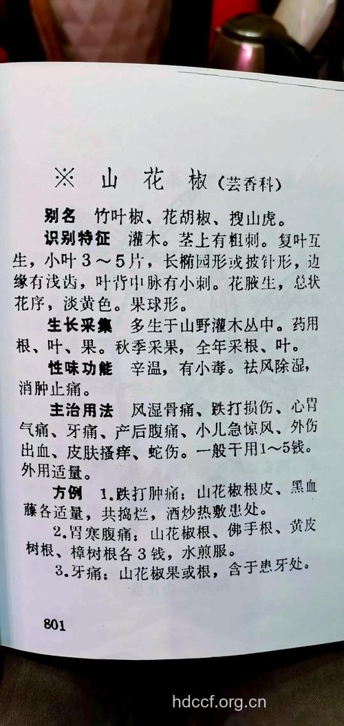竹叶椒叶的功效与作用