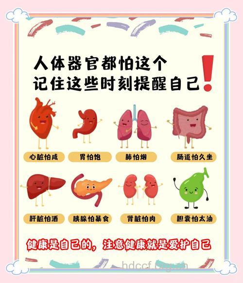 人体哪些器官容易导致癌症