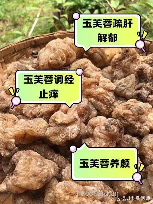 玉芙蓉的功效与作用