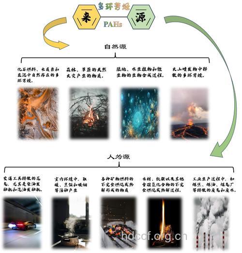 外环境致癌因素有哪些