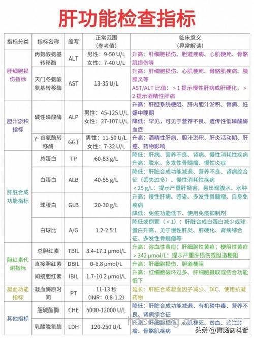 教你如何看肝功能的体检结果