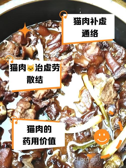 猫肉的功效与作用