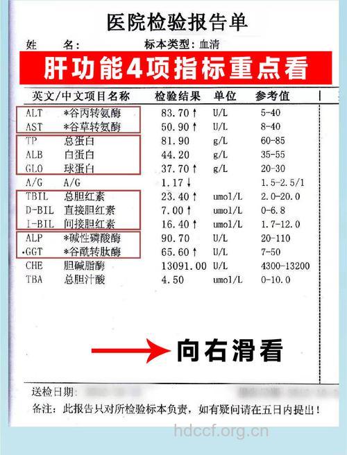 肝功能指标要如何看?
