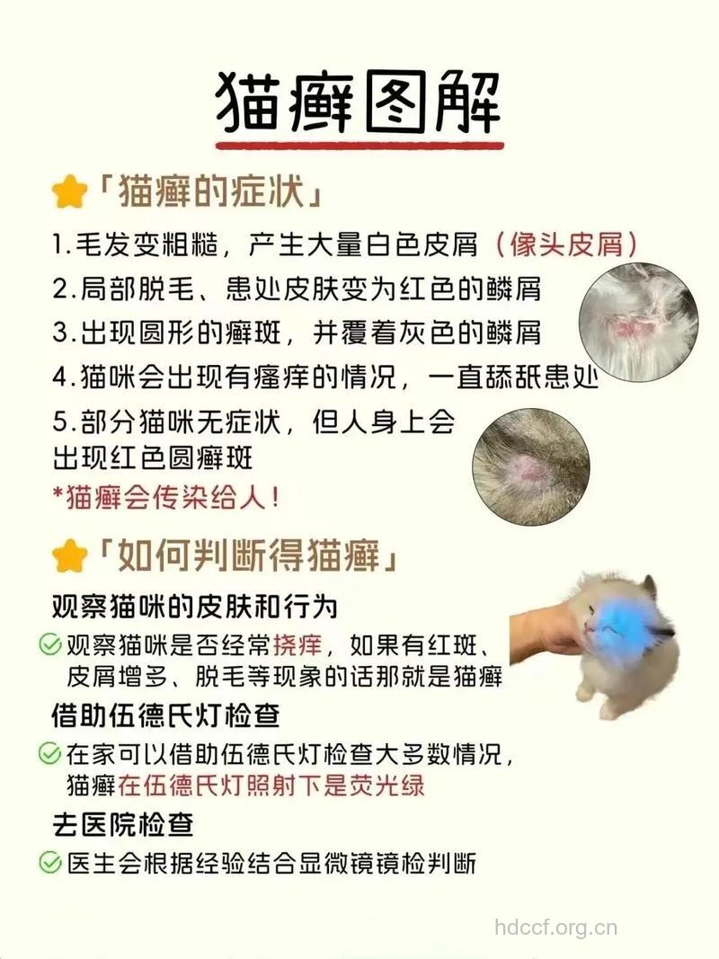 猫皮毛的功效与作用