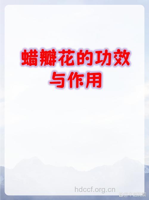 蜡瓣花的功效与作用