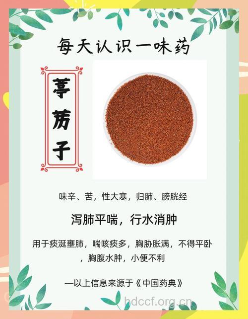 无名子的功效与作用