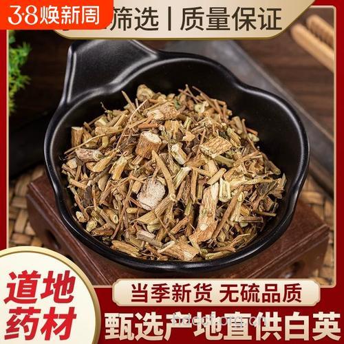 千年不烂心的功效与作用