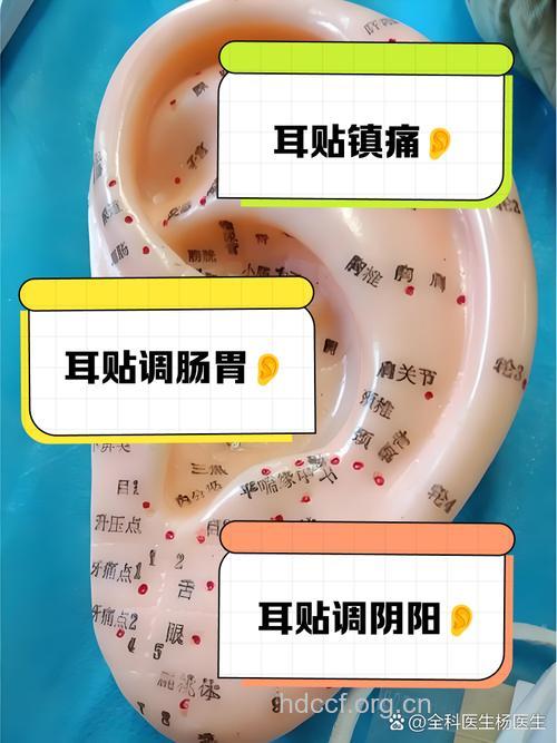 贴耳穴能治便秘 中医治疗便秘有招
