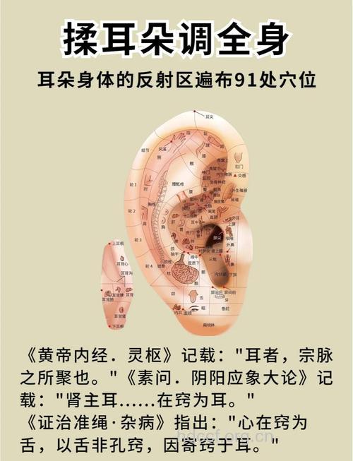 按摩耳朵有什么好处 中医教你按摩耳朵治病