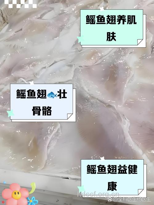 锯鲨翅的功效与作用