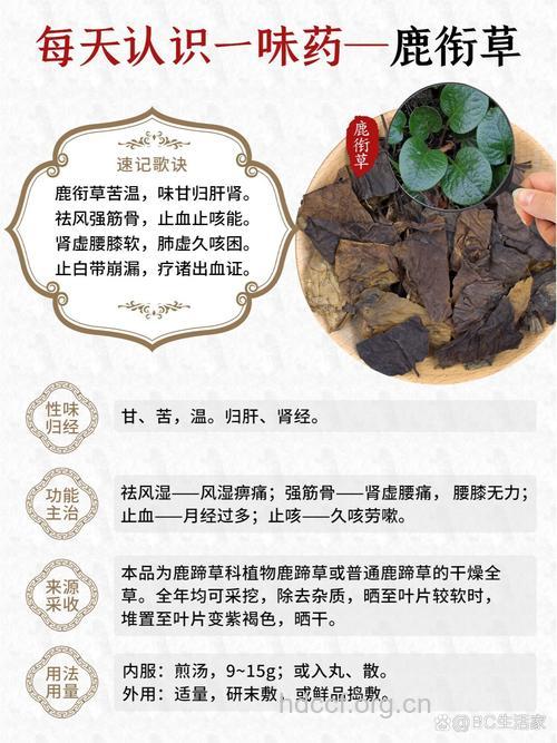 鹿衔草的功效与作用