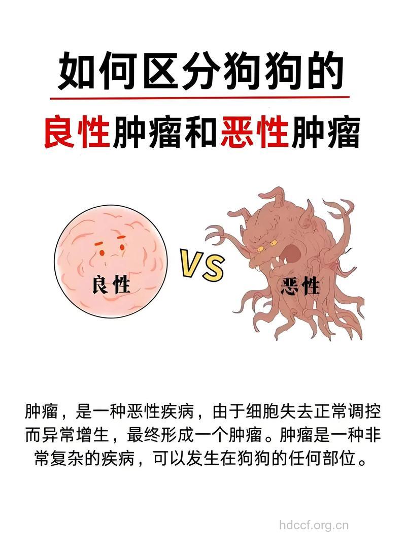 判别良性肿瘤和恶性肿瘤