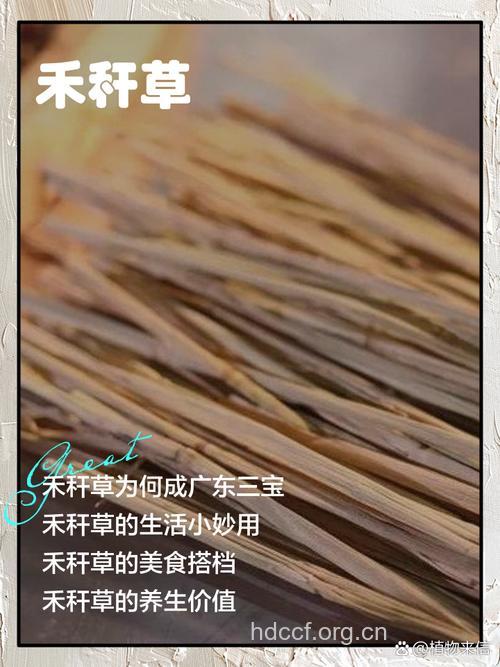 一把篾的功效与作用