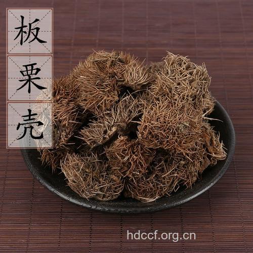 栗毛球的功效与作用