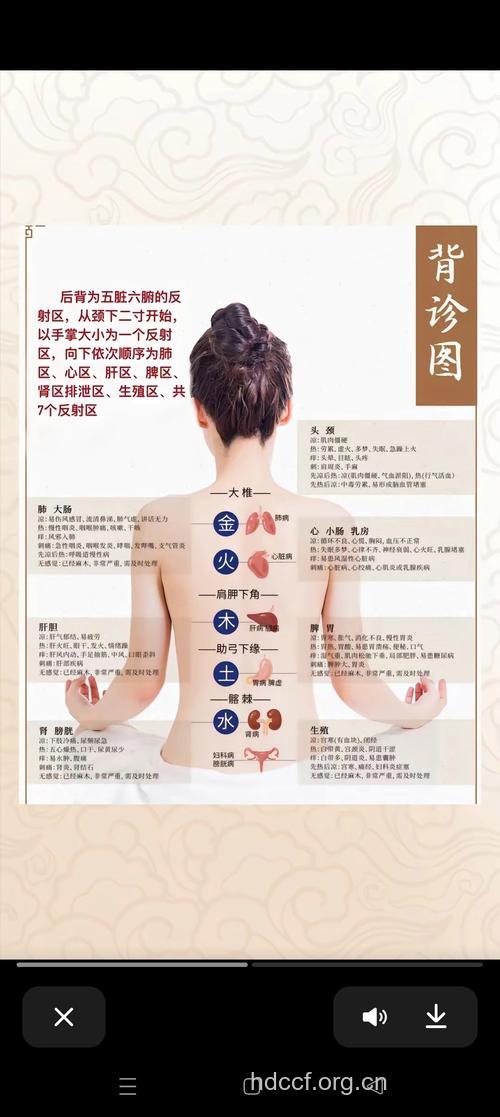常刮身体五大部位养生防病