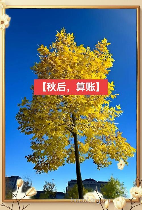 小心糖尿病“秋后”找你算账