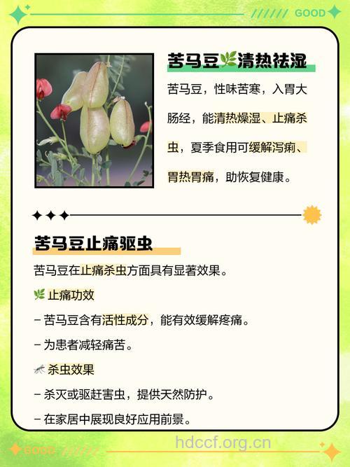 苦马豆的功效与作用