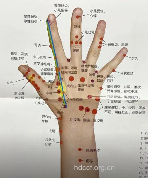 手部穴位多 经常按摩能健身