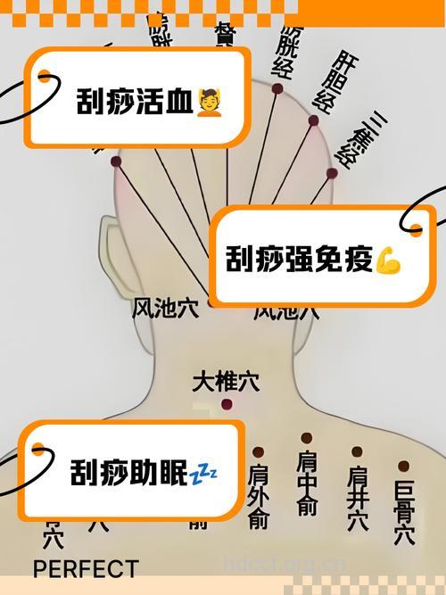 不同部位刮痧的好处 刮头部提神醒脑