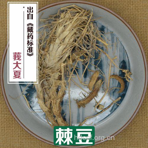 镰形棘豆的功效与作用