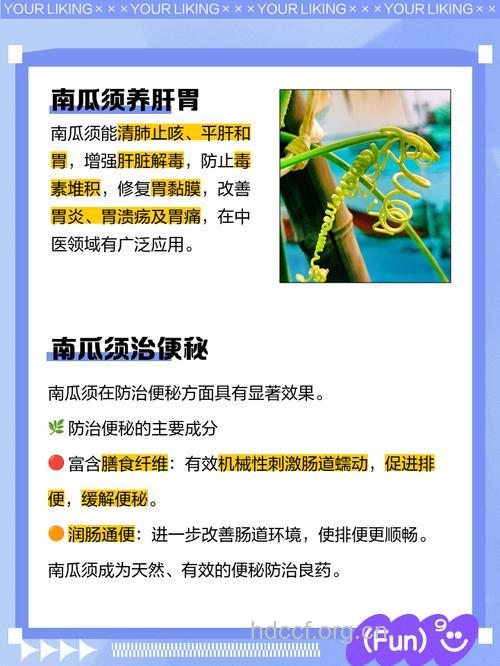 南瓜须的功效与作用