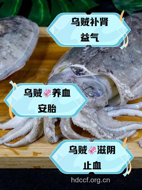 乌贼鱼腹中墨的功效与作用