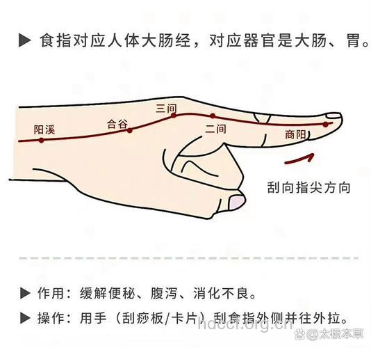 刮痧这些穴位能治疗便秘