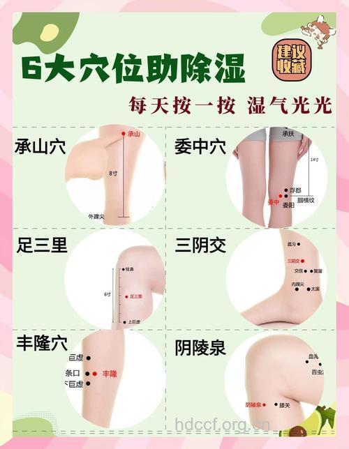 刮痧排毒祛湿的主要7大穴位