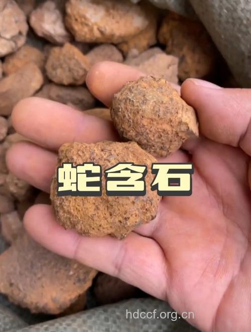 蛇含石的功效与作用