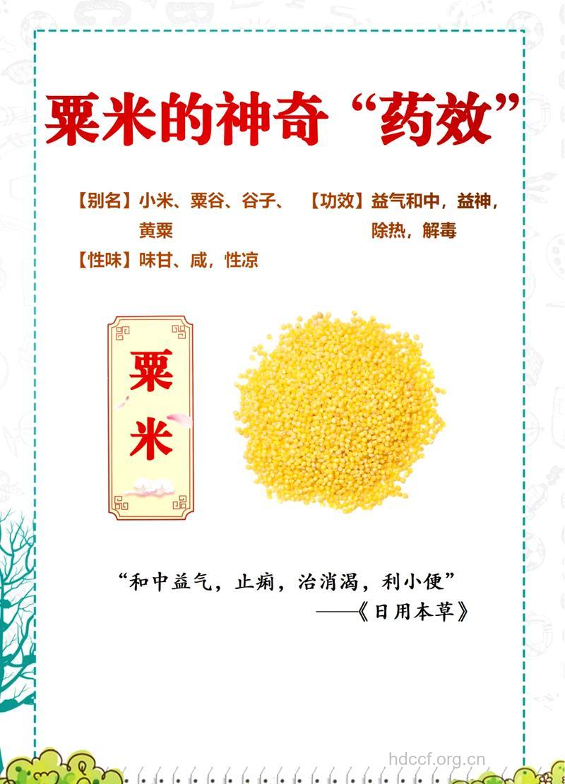 粟米的功效与作用