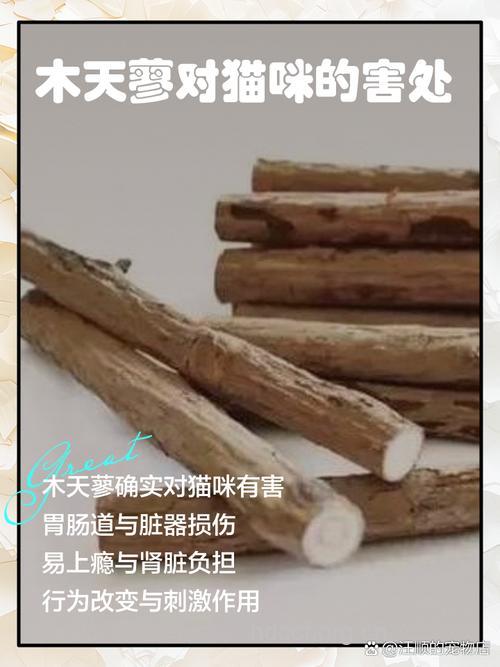 木天蓼的功效与作用