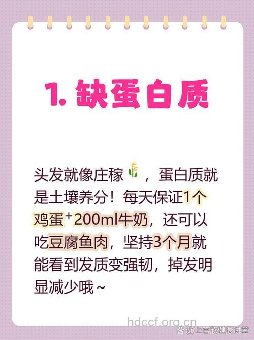 补充蛋白质对治疗脱发有用吗