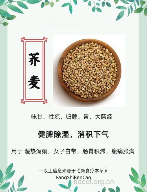 荞麦七的功效与作用