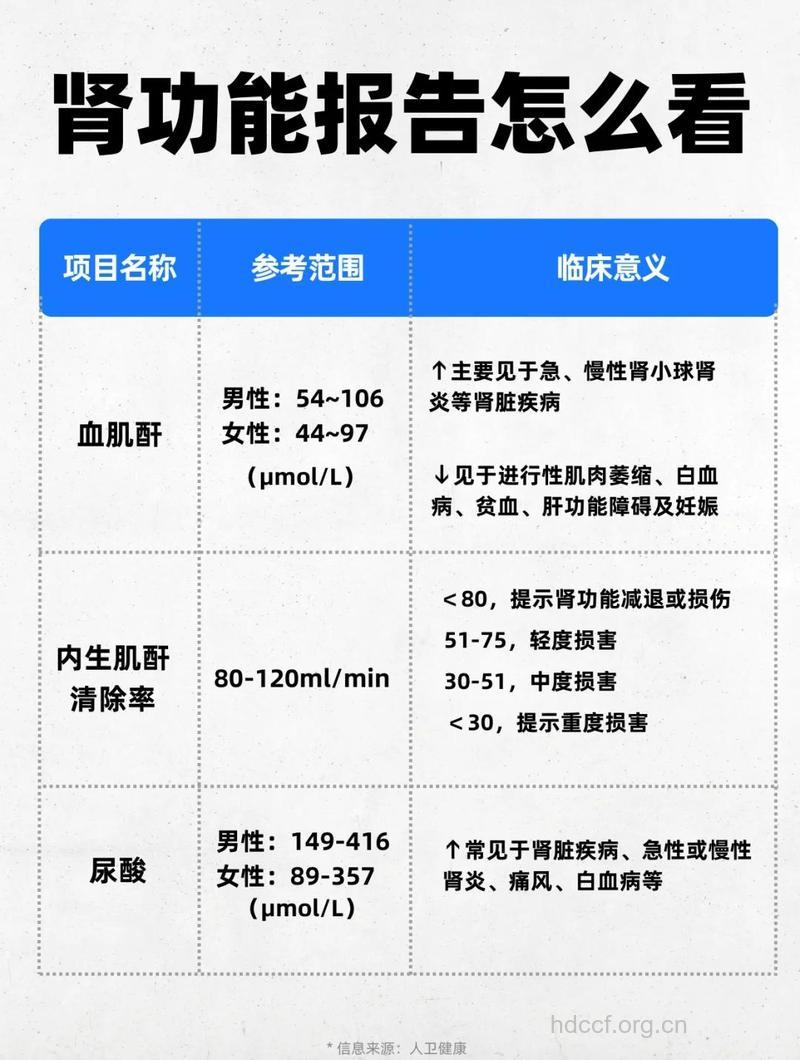 四项常规体检有助肾病筛选