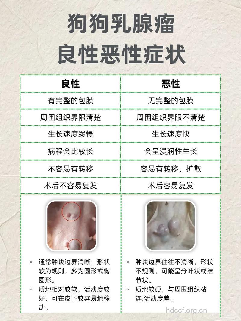得了良性肿瘤怎么办?