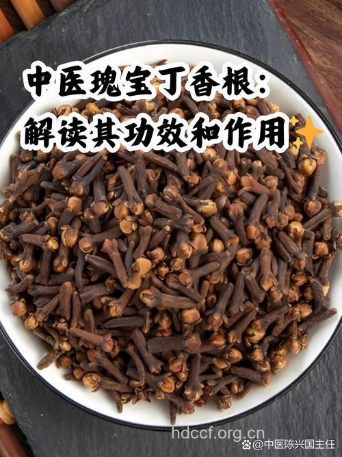 野丁香根的功效与作用