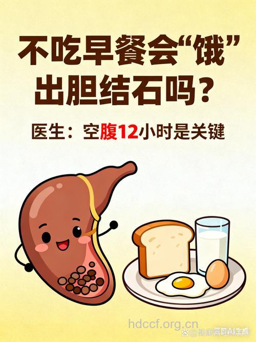 长期不吃早餐胆囊易癌变