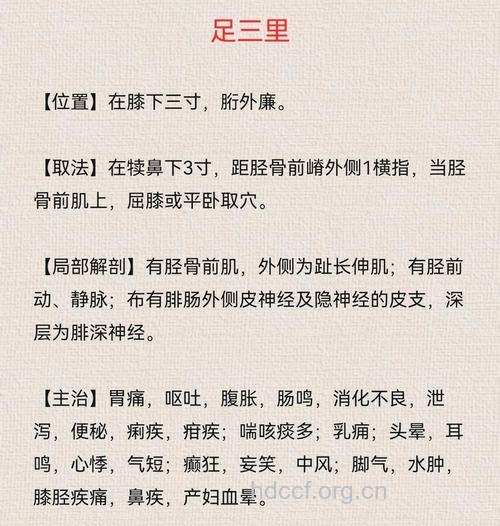 按摩足三里穴位的好处