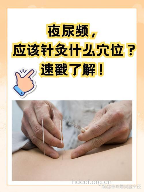 中医艾灸治疗夜间尿频方法