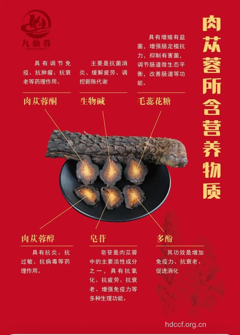 石苁蓉的功效与作用